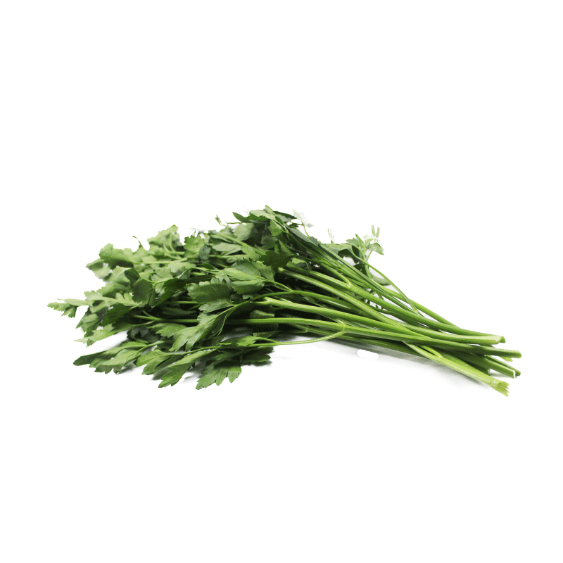 新鲜香芹番西荷兰欧芹西洋摆盘餐厅用料250g其它