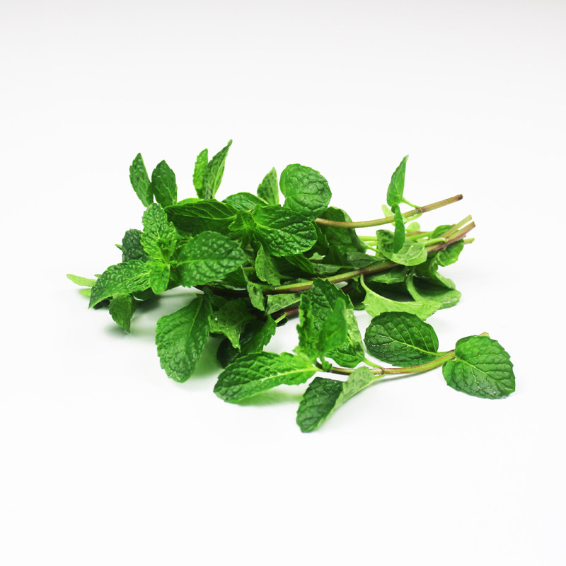 薄荷荷叶新鲜食用蔬菜清凉调酒泡茶香料调料其它