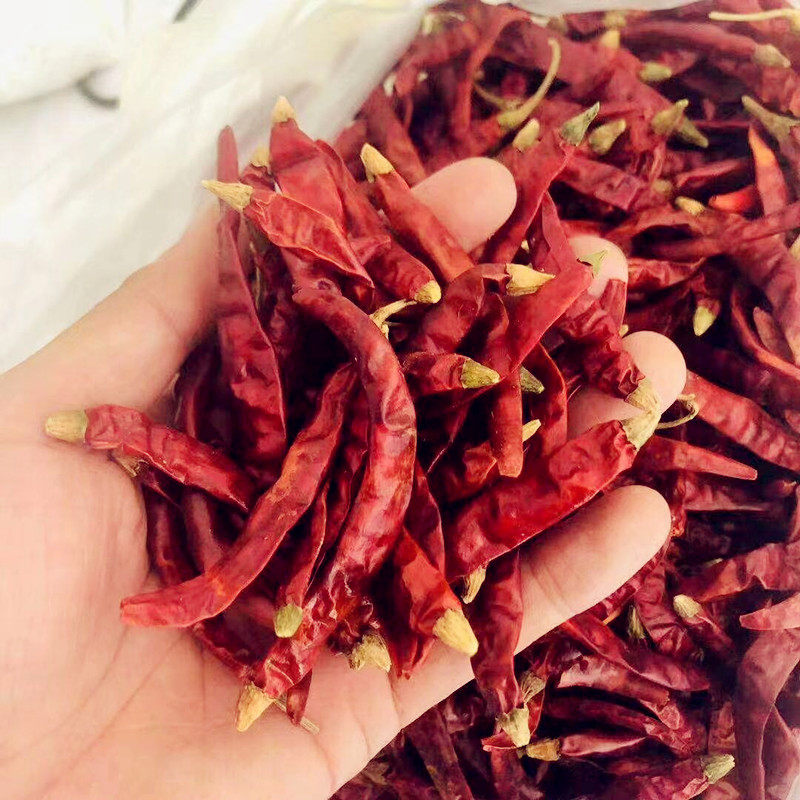 辣椒包邮250克半斤红辣椒皮干王朝天朝天蔬菜新鲜脱水蔬菜