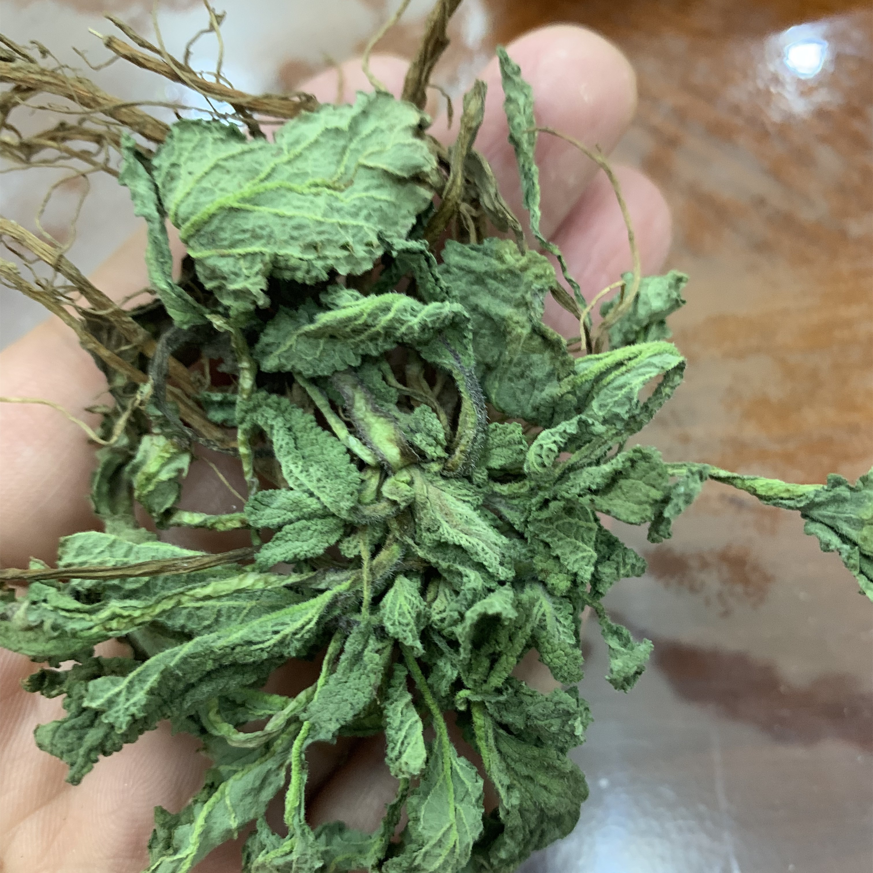 鲜草荔枝草整棵带根皮草煮茶天然雪见干湿有种其他药食同源食品