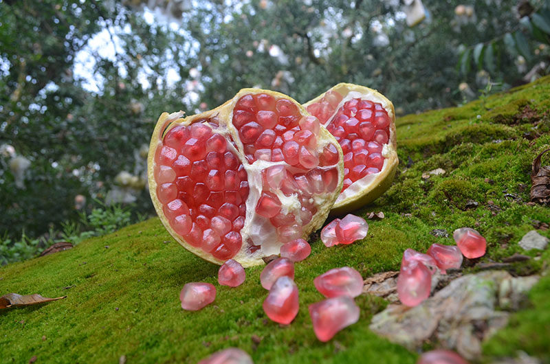 单果1斤左右云南蒙自薄皮绿籽水晶特大石榴石榴