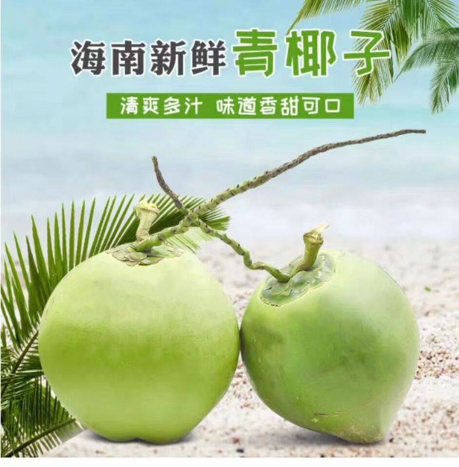 海南省椰子椰青10个带皮文昌三亚新鲜孕妇水果椰青