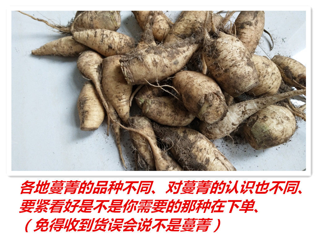 蔓菁疙瘩河北种子蔬菜农家自种芥菜老人儿童其它