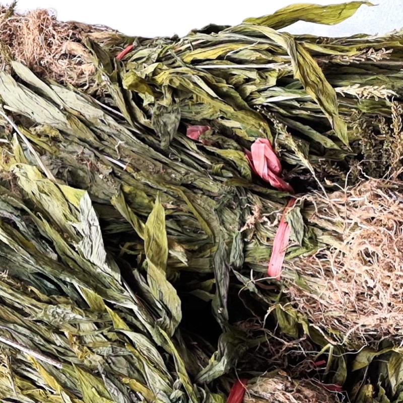 见血中药材血清天然500g散装包邮中草药新鲜干货其他药食同源食品