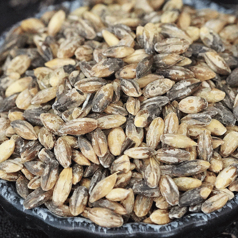 青稞1斤3斤5斤高原去皮生青稞麦无糖食品其它粮食