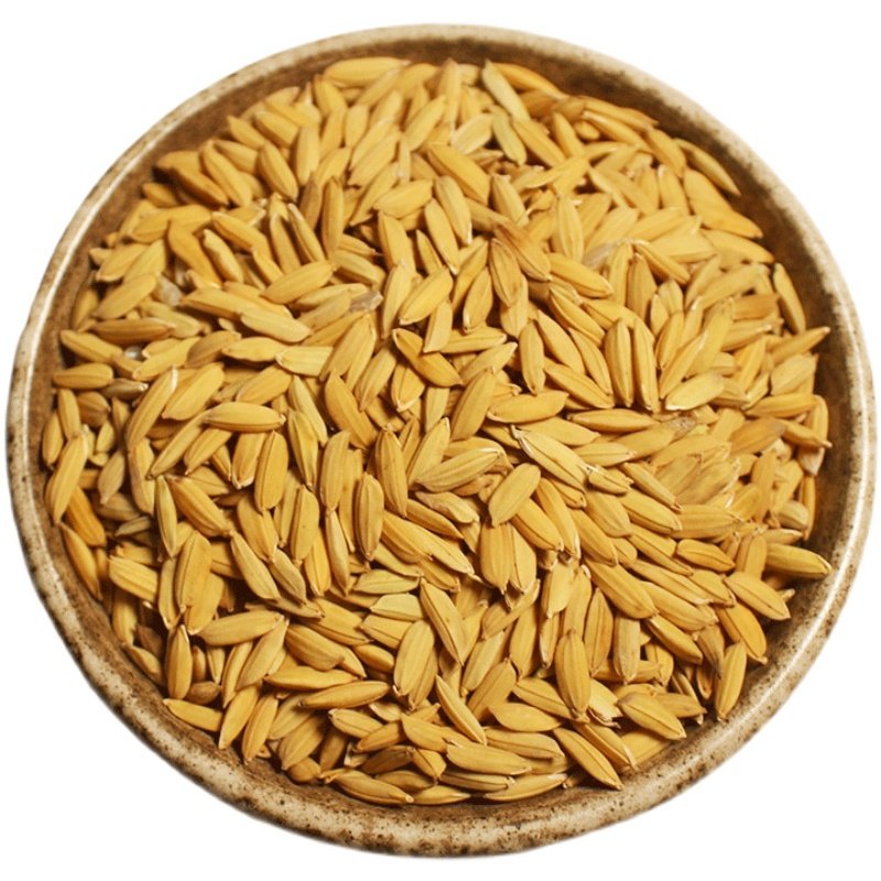 稻谷带壳水稻谷子500g农家饲料早稻喂鸡鸭鹅其它粮食