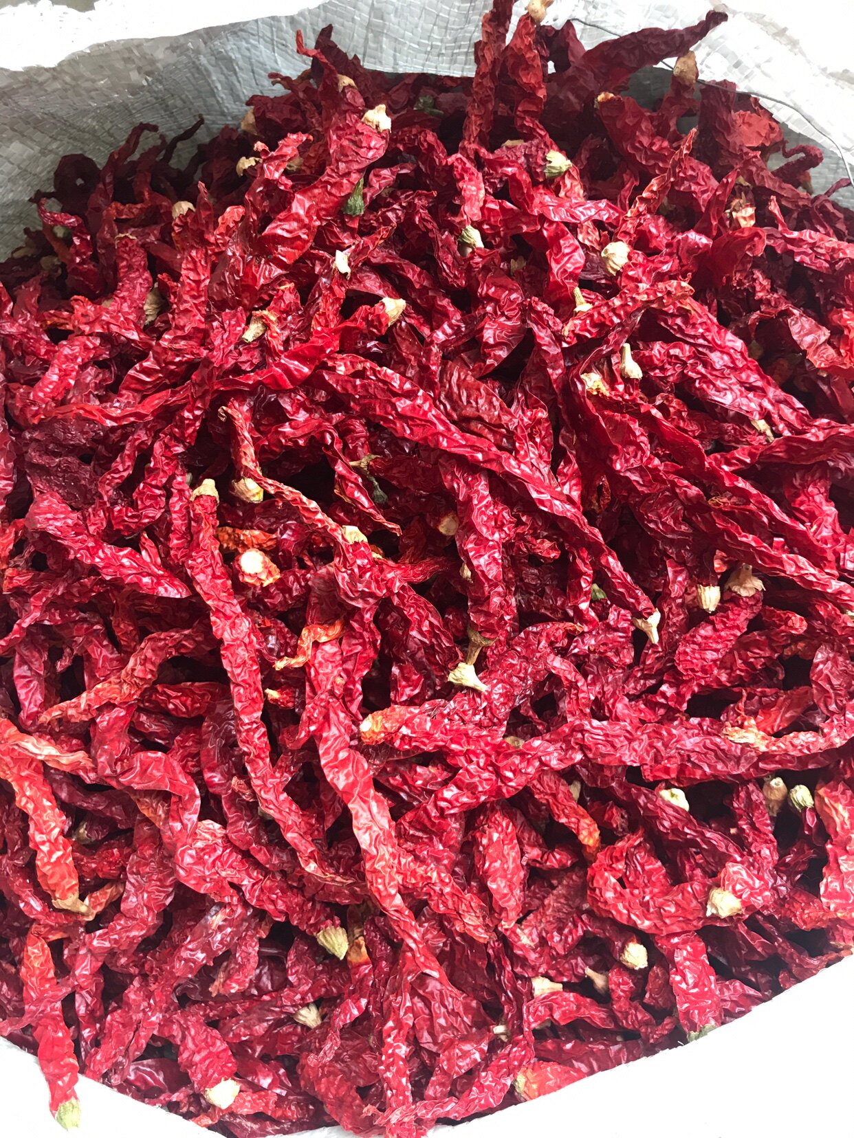 辣椒先领优惠券5斤装干新鲜长干江西湖南贵州辣椒粉料