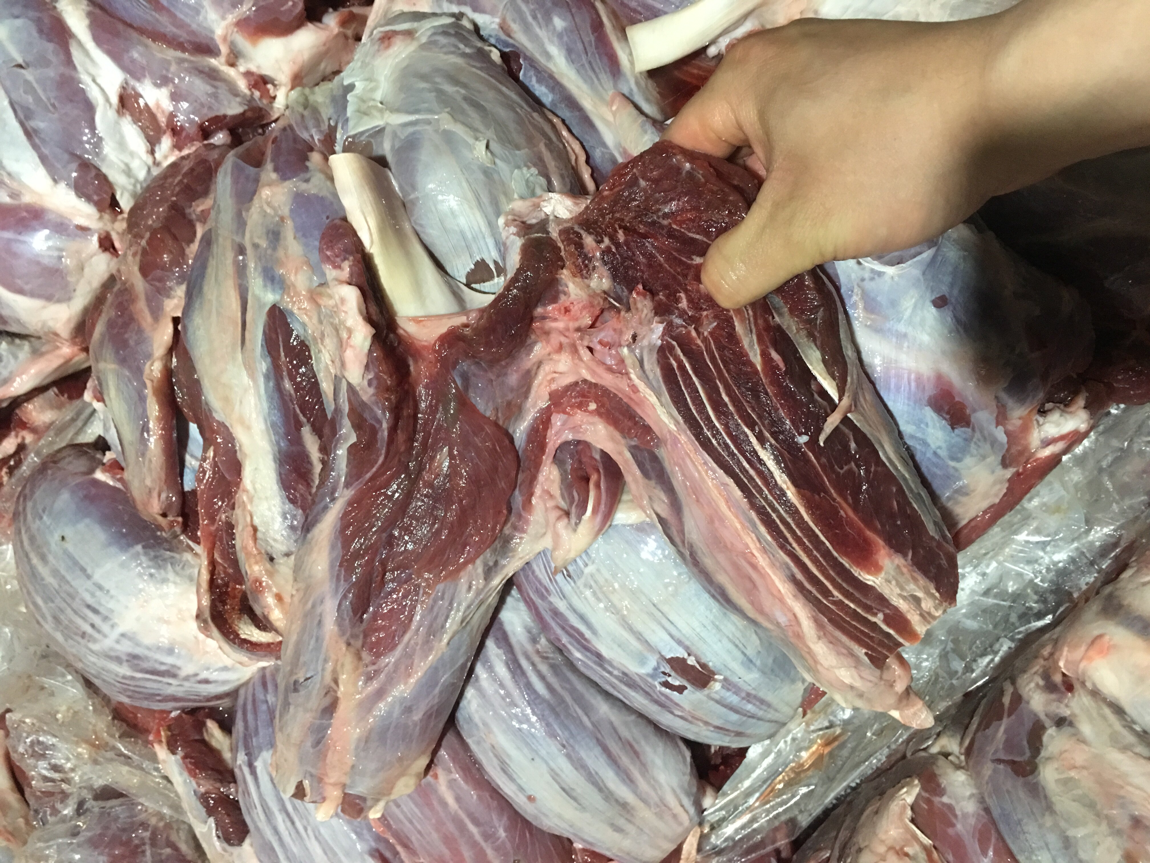 冷冻牛腱牛展新鲜牛肉干净无油牛健一件50斤生牛肉