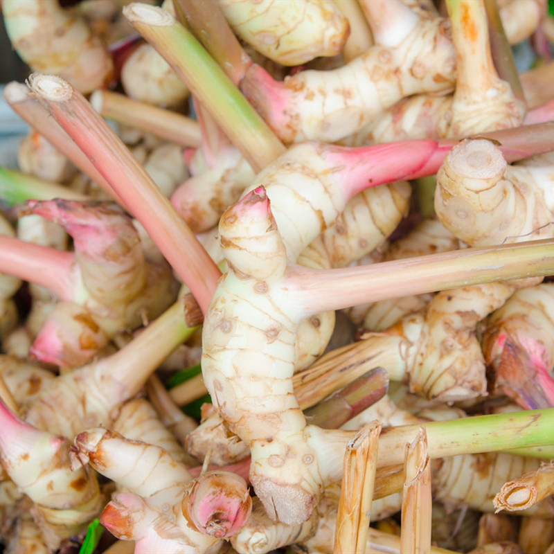 泰国南姜新鲜500g高良姜泰式冬阴功汤调料火锅生姜