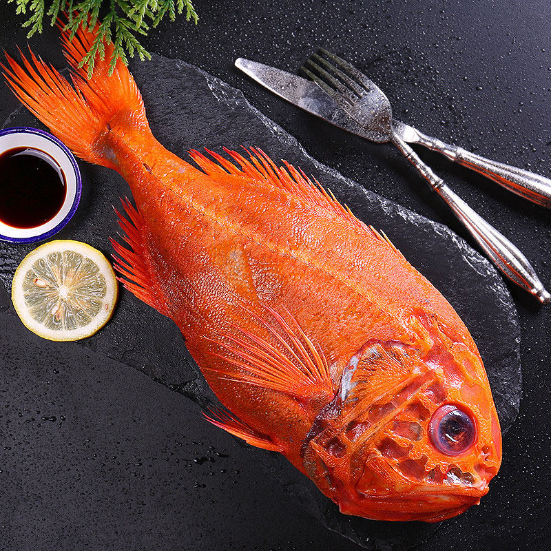 5斤/条新鲜富贵鱼南极长寿红鱼橙鲷鱼深海鱼包邮