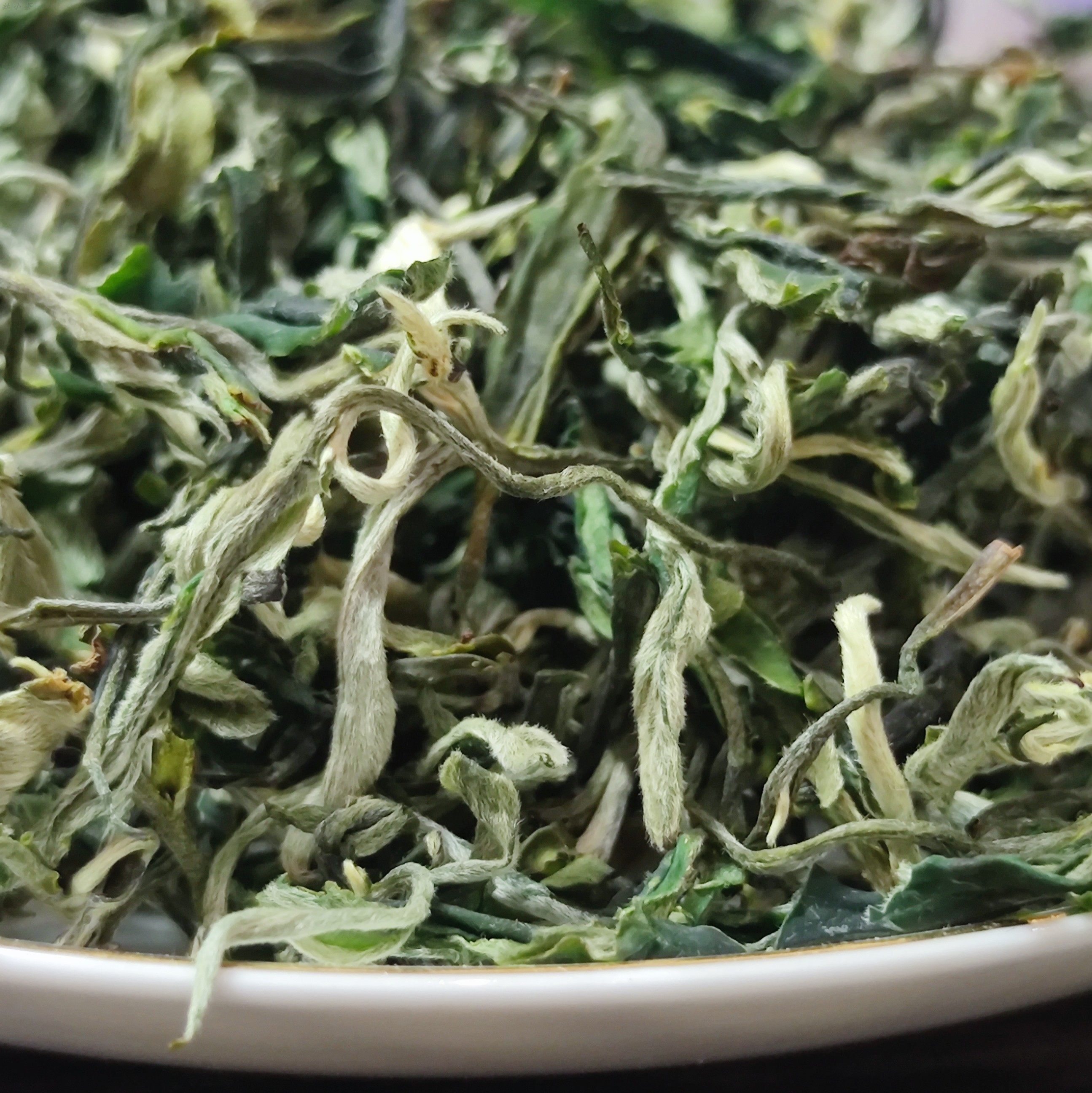 春尖云丝2022年头春新茶云南普毛尖春尖毛峰茶其它绿茶