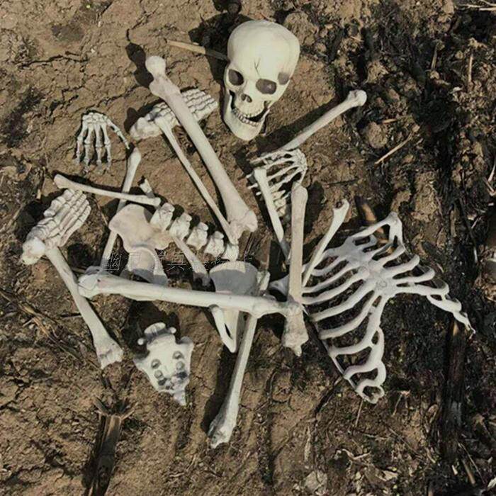 恐怖摄影道具仿真真人骨头摆件万圣节装饰鬼屋其它