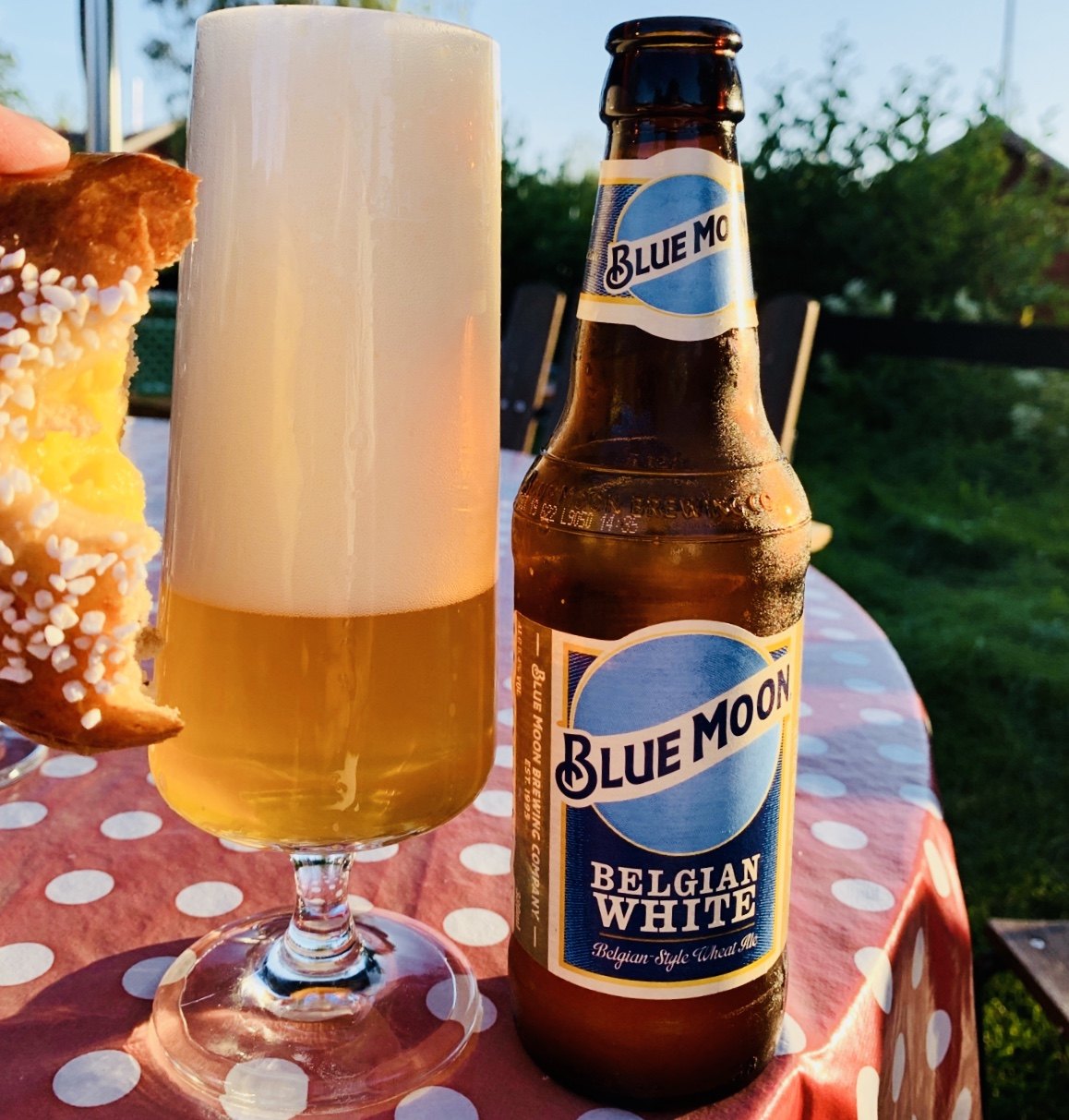 临期22年6月比利时风味白啤bluemoon蓝月啤酒啤酒