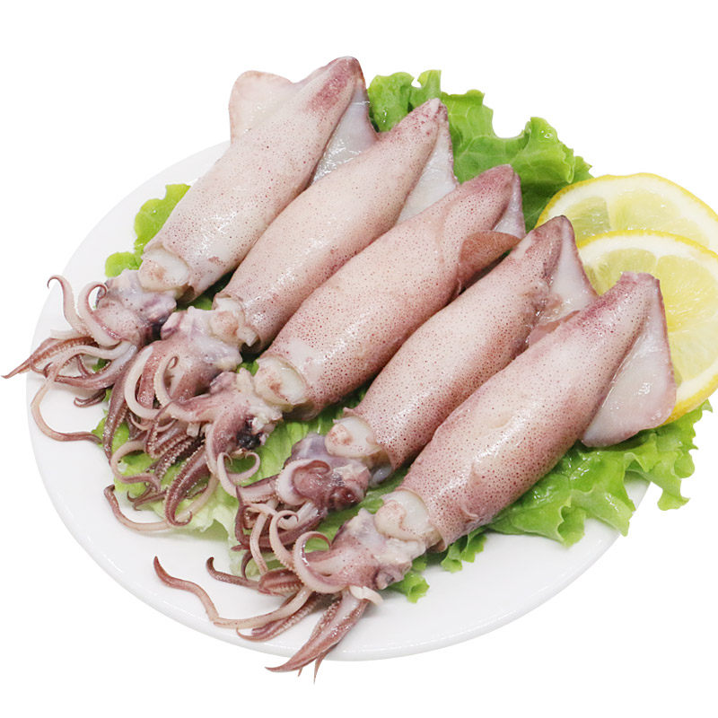 聚福鲜 熟冻全籽乌鱼 小笔管鱼 250g±10g/袋 小海兔鱿鱼海鲜水产