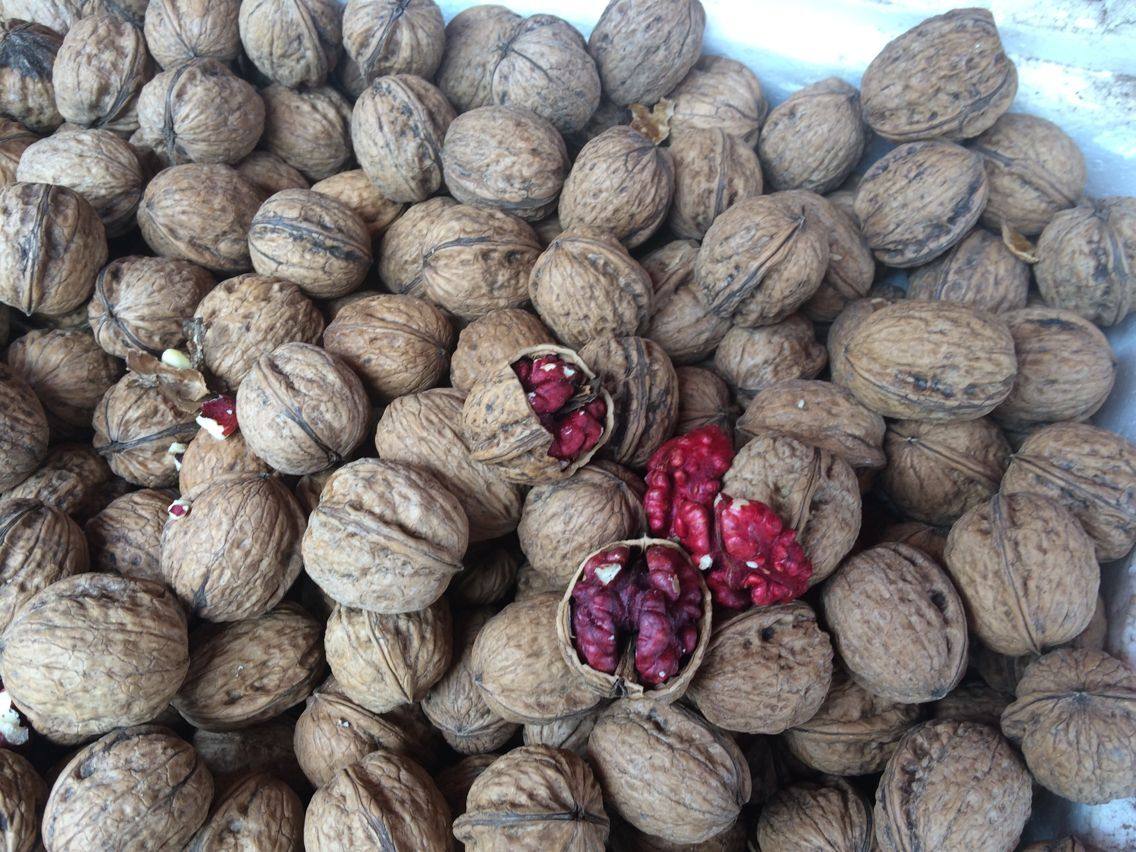 核桃云南一袋两袋红皮500克大理老树高山红瓤其它干货