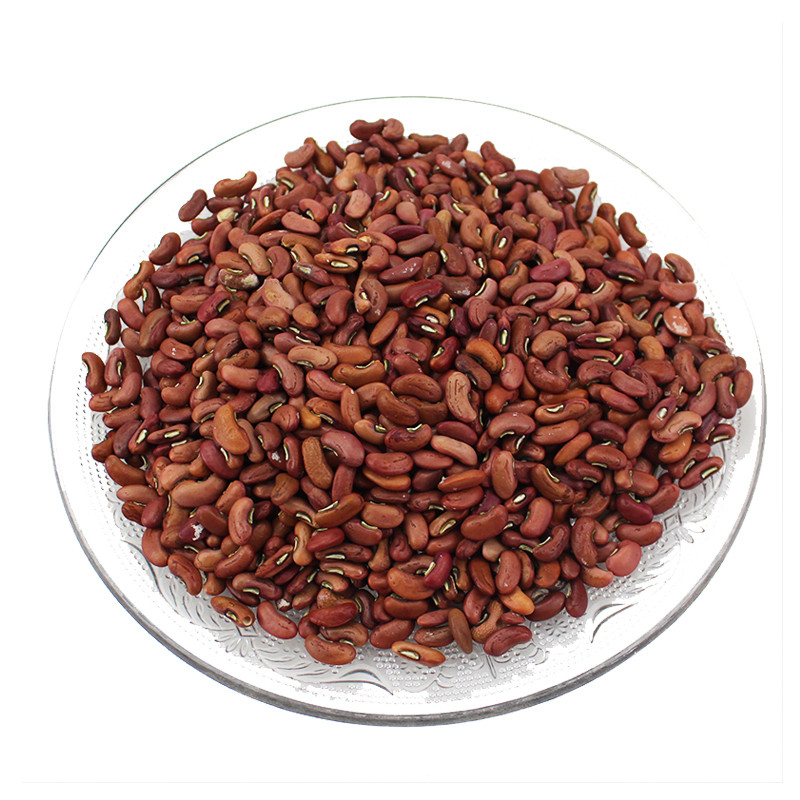 豆角美国架豆豇豆种子种孑种籽无搭架四季盆栽家庭园艺种子