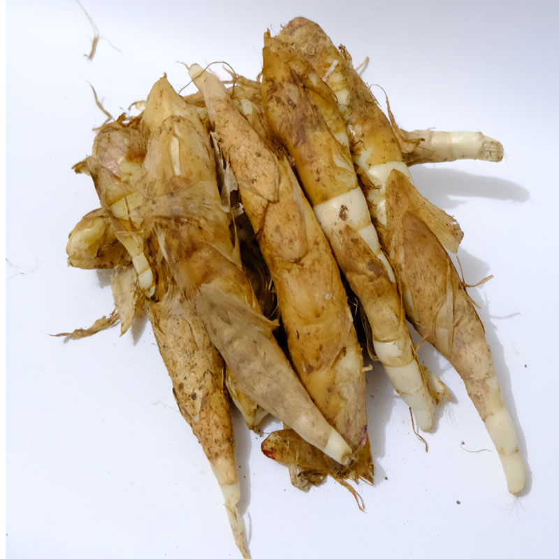 农家自种新鲜竹薯竹节薯竹芋薯冬薯化州棉薯番薯