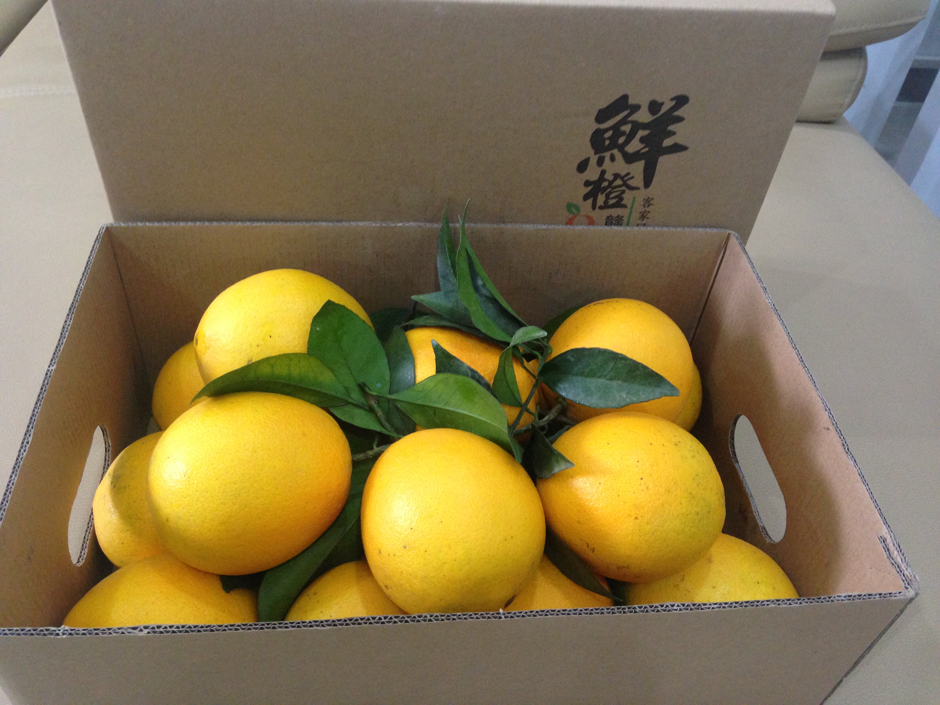 正宗赣南脐橙老兵庄园果园直供现采现发10斤橙