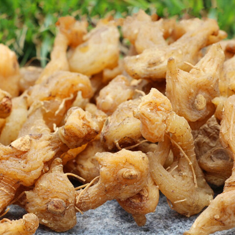 生黄参兔鸡爪姜鸡爪老虎爪子笔管鸡菜黄精黄鸡头其他药食同源食品