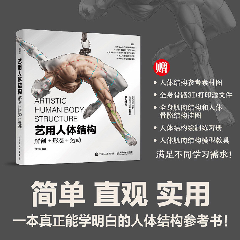 人体结构形态艺用解剖运动骨骼肌练习绘制肌肉绘画新