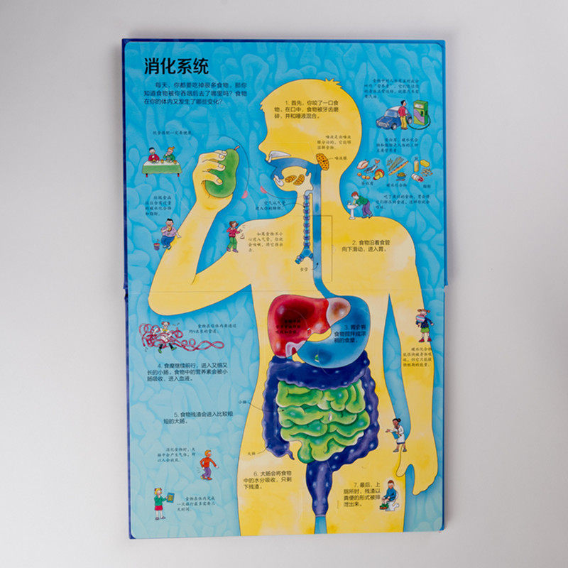 揭秘立体身体儿童深入图画书图画大百科科普益智游戏科普百科