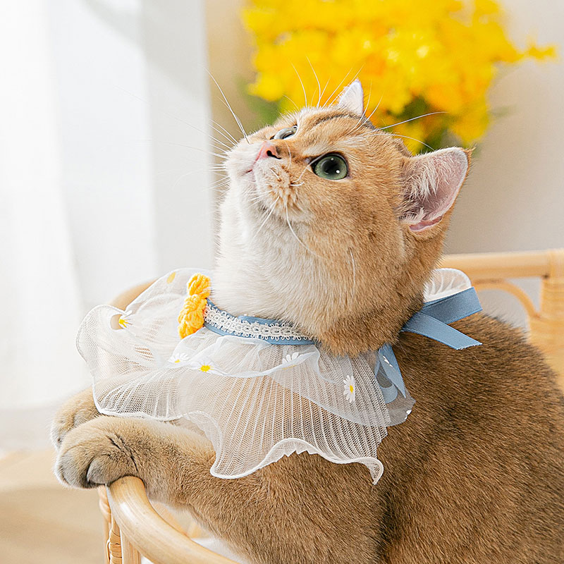 可爱蕾丝小猫猫咪项圈围脖猫猫项链装饰品宠物项圈