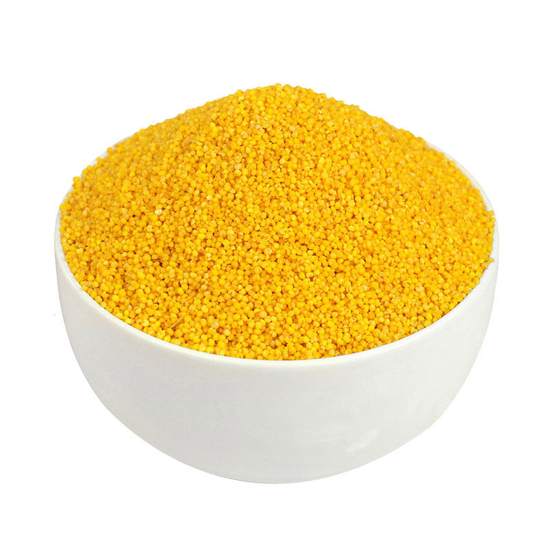 小米沁洲新米特产山西食物米粥小黄米脂粘糯小米