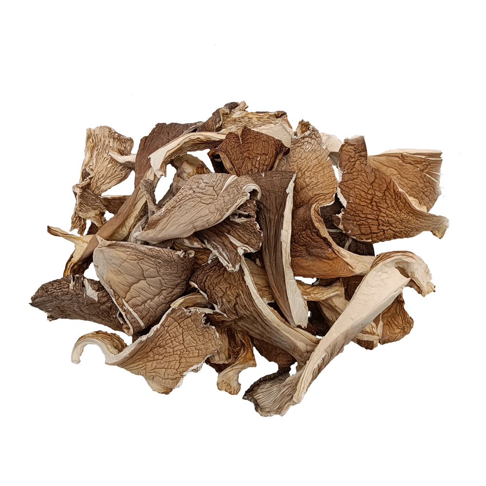 平菇干货500g包邮家庭食用菌凤尾菇白平菇散装干蘑菇片干平菇菌包