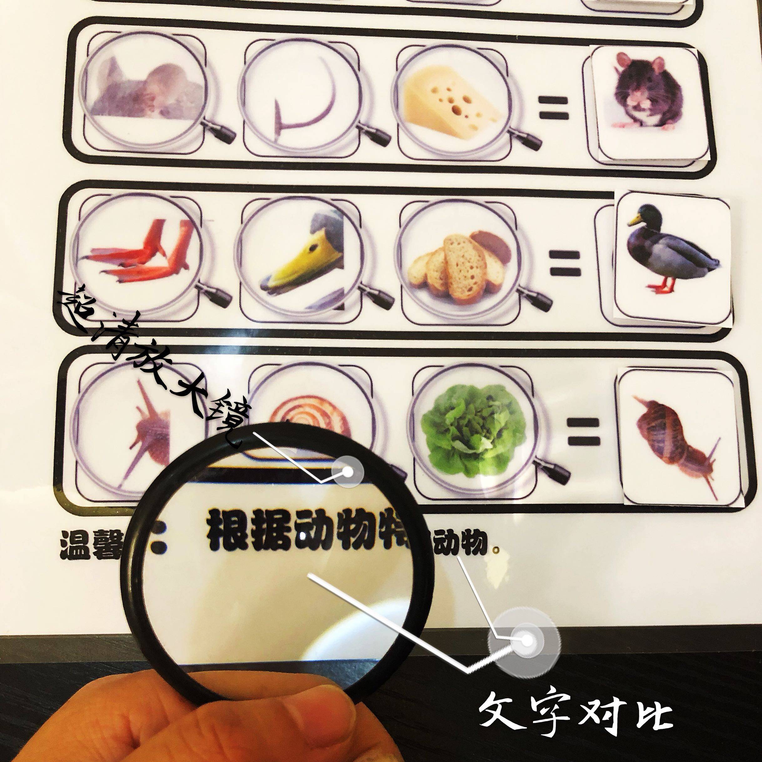 3岁动物特征寻找观察力专注注力提升逻辑思维训练手工创意粘贴类