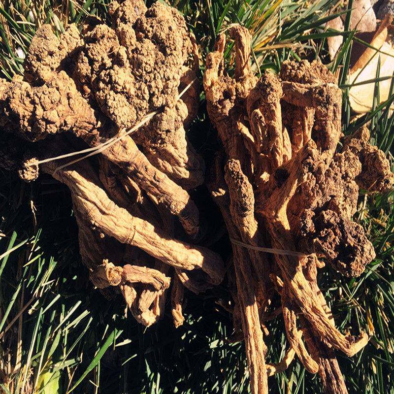 党参新货西藏250克党参