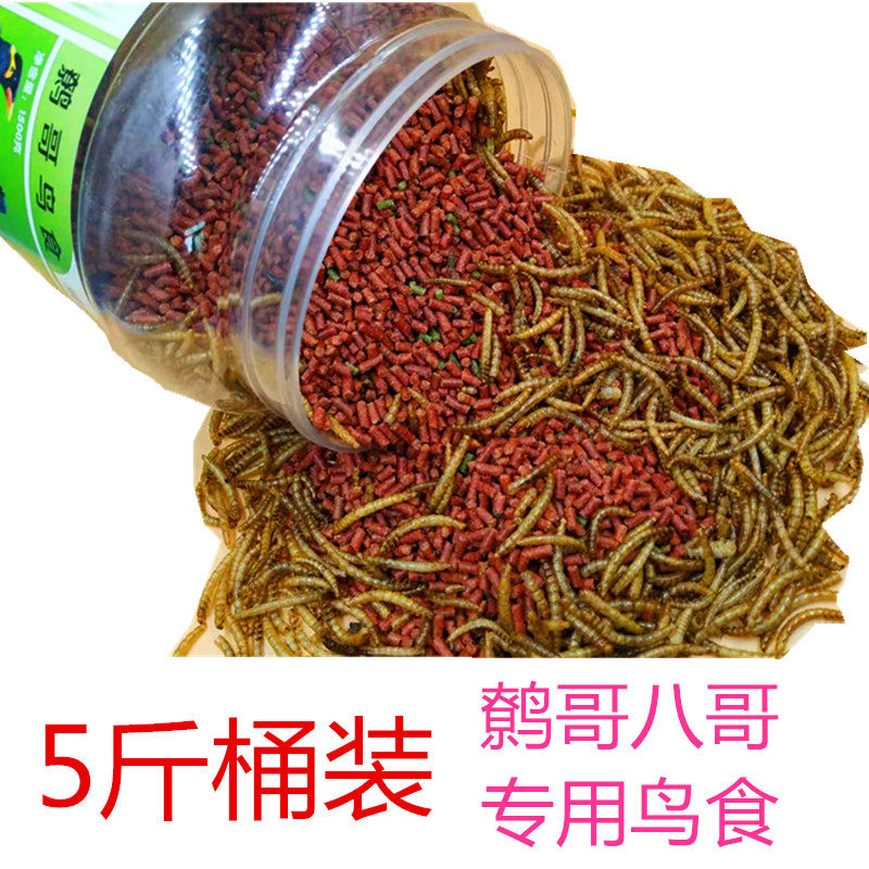 鹩哥鸟食八哥鸟饲料5斤桶装高蛋白鸟粮包邮