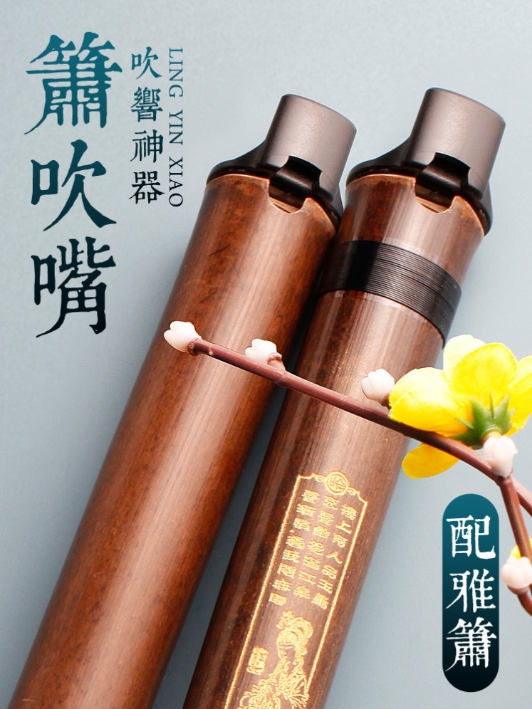 洞箫基础古风演奏专业调吹零基助吹乐器紫竹箫