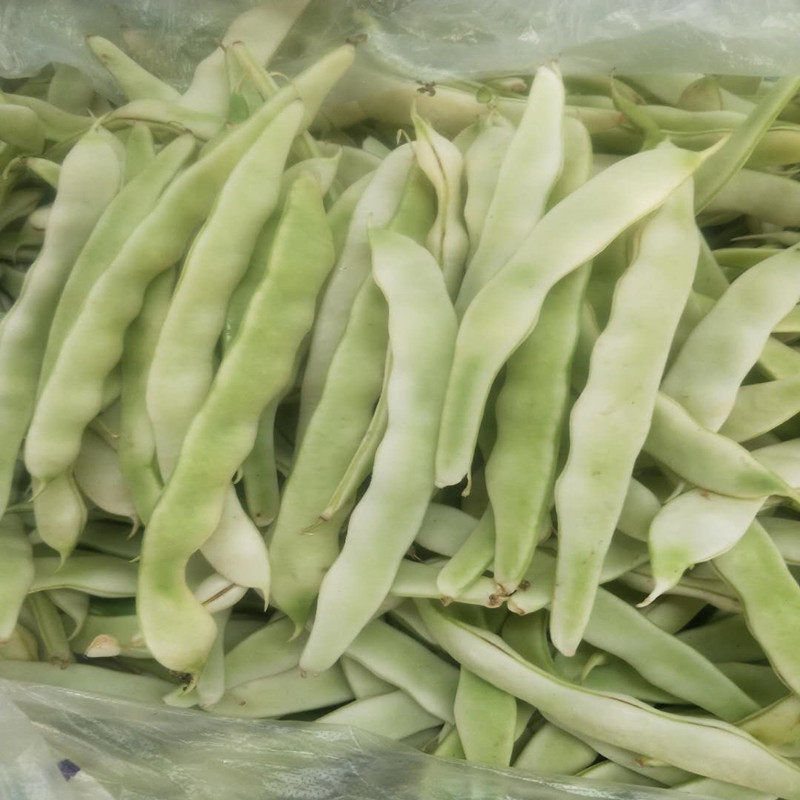 山东蔬菜新鲜白不老有机四斤白芸豆