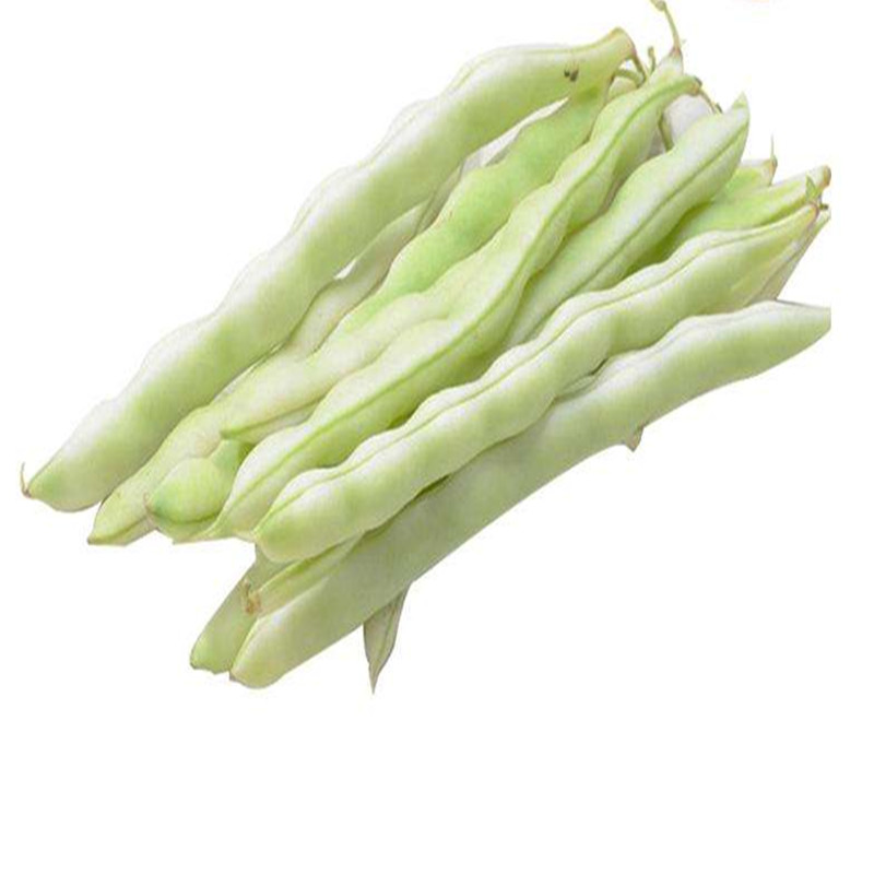 新鲜有机肥蔬菜山东老来少芸豆九粒白豆角现摘米豆二斤四季豆包邮