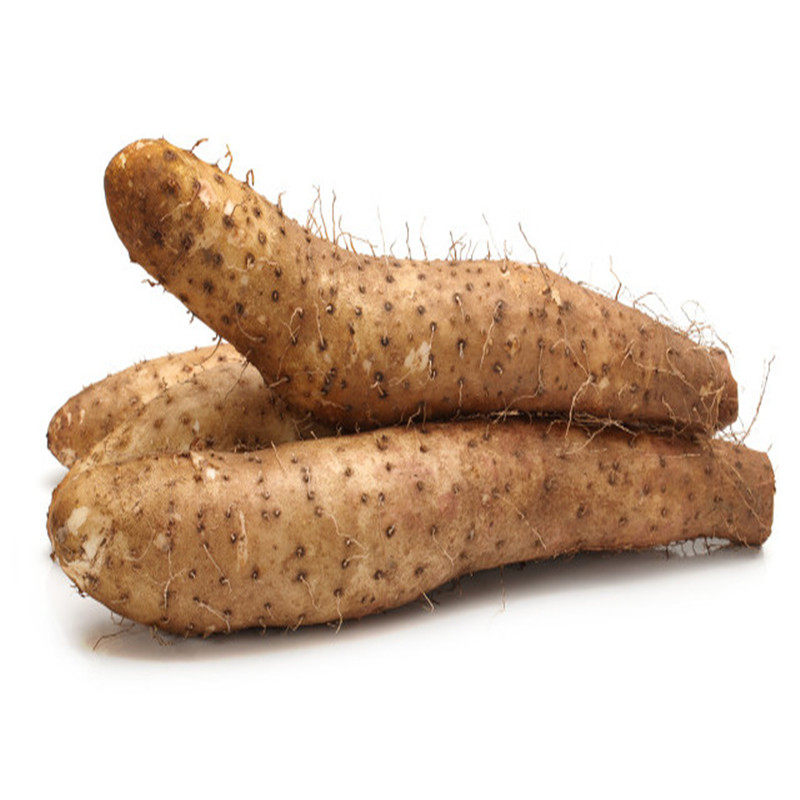 山药短粗山四斤糯绵药粉农家自种现挖牛腿新牛腿新鲜山药