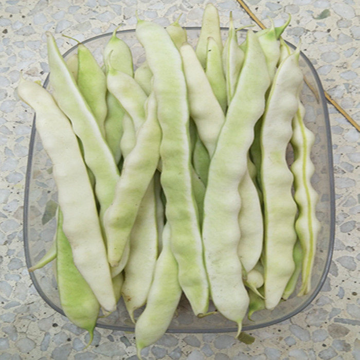 山东蔬菜新鲜白不老有机四斤白芸豆