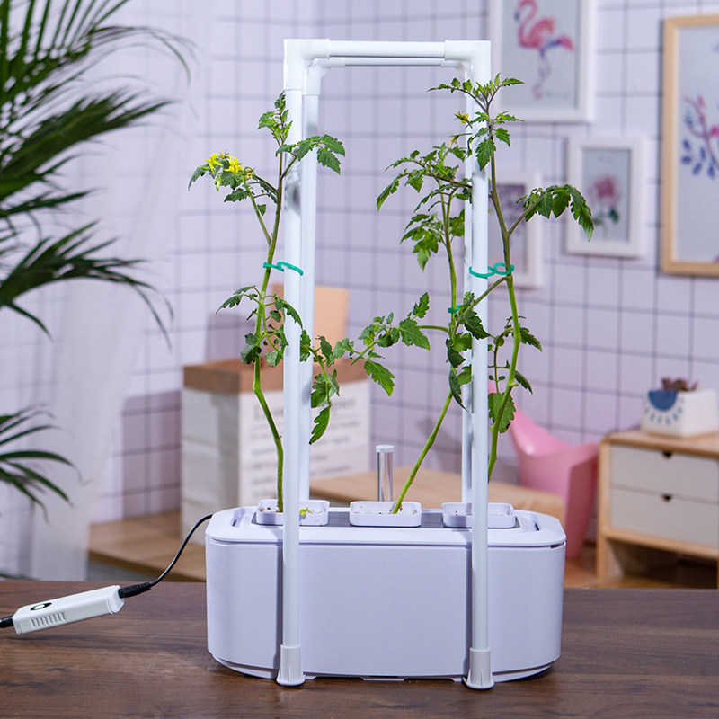 阳台水培箱室内办公室自动吸水懒人花盆塑料绿植园艺花盆