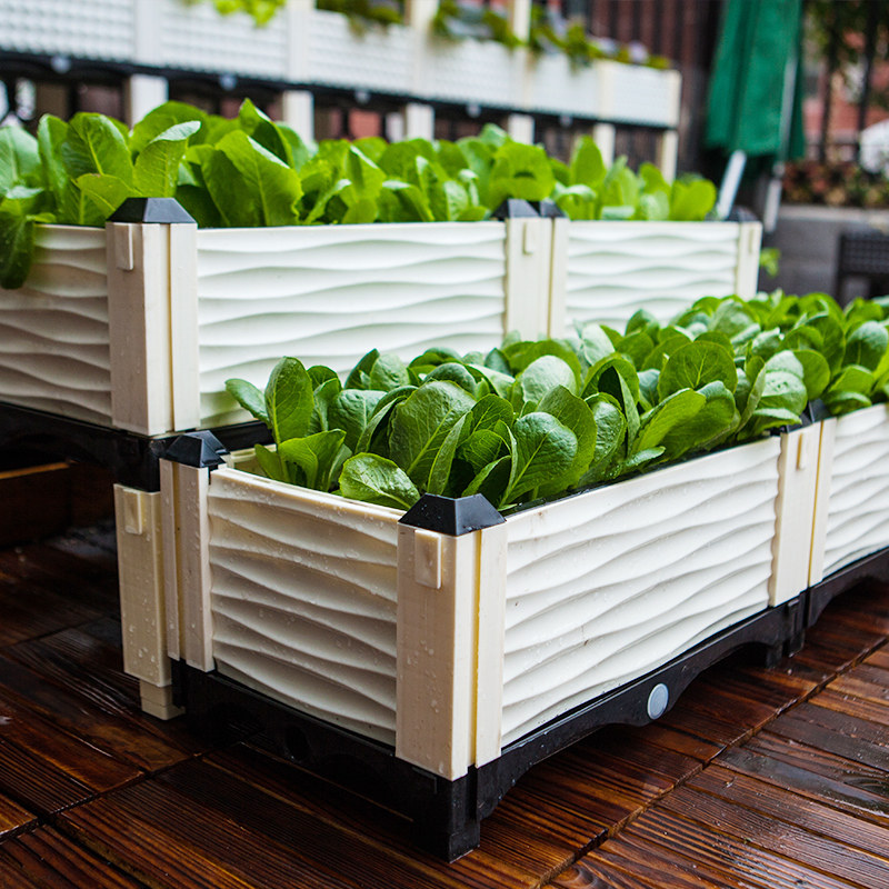 特大阳台蔬菜种植户外园艺组合花盆长方形一米花盆