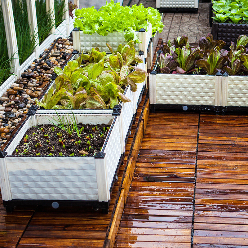 种植4026双层立体阳台蔬菜种菜神器楼顶露台花盆