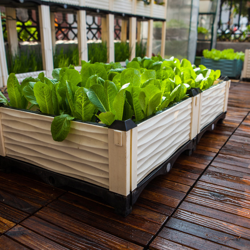 特大阳台蔬菜种植户外园艺组合花盆长方形一米花盆