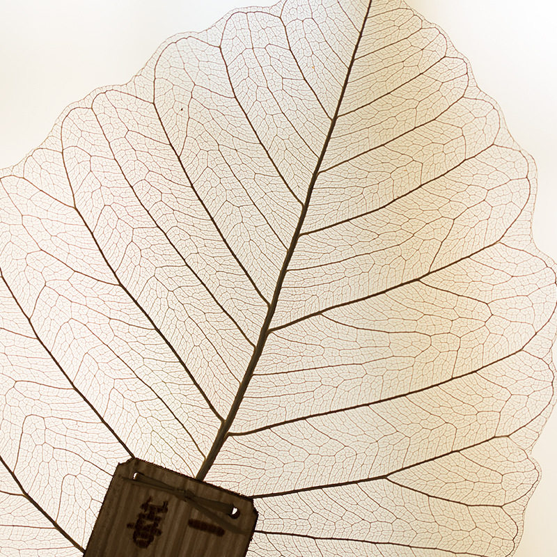 菩提叶片茶滤创意禅意天然树叶书签功夫功夫茶茶滤