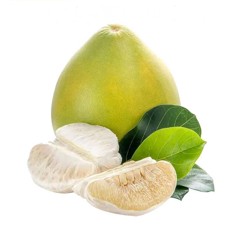 湖南怀化安江雪峰冰糖柚雪峰山柚子药柚小苦柚子