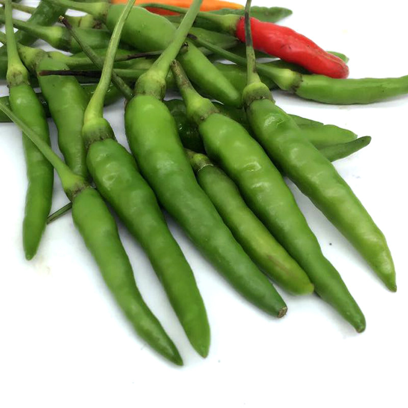 辣椒指天朝天椒非鸟眼小米椒500g尖椒其它