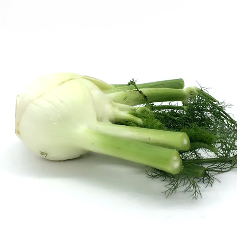 新鲜蔬菜 茴香头 球茎回香 沙拉蔬菜 炒牛肉食材 500g顺丰快递