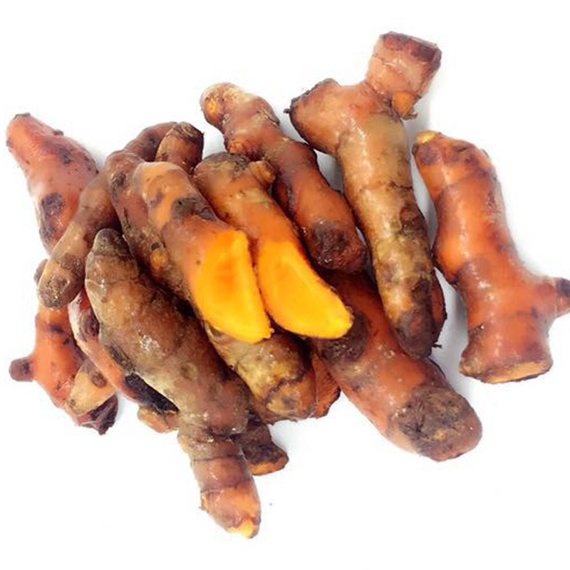 新鲜小黄黄姜姜黄咖哩冬阴汤料药材增色去腥生姜