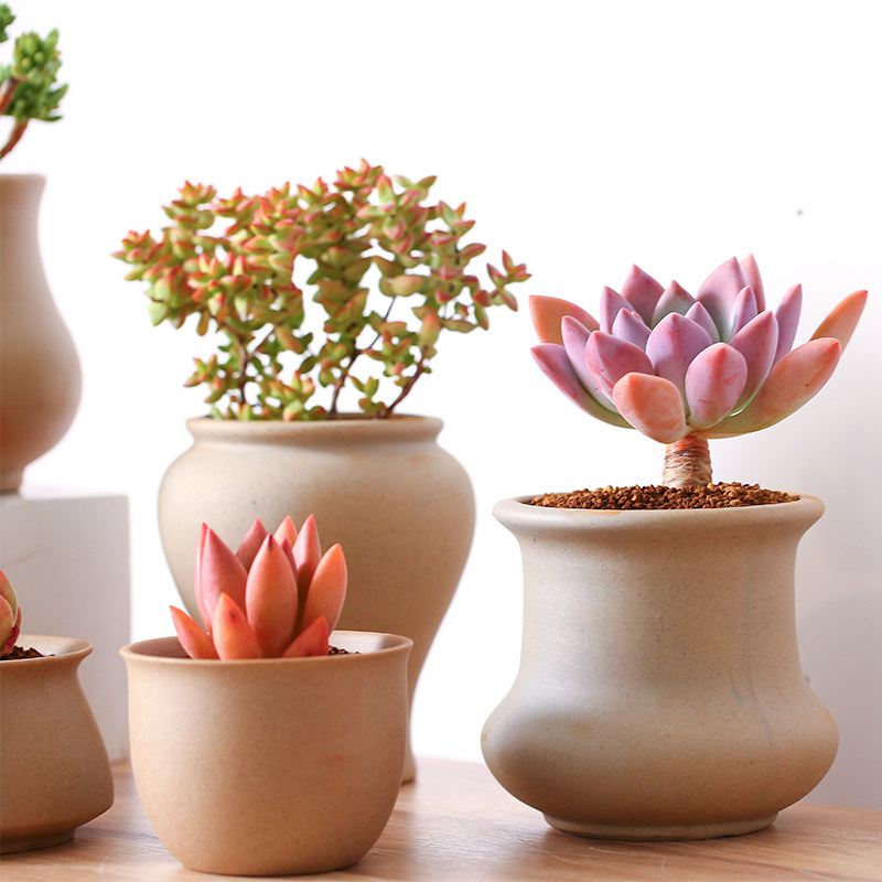 多肉花盆植物云南直发mumuhome素烧简约创意意多花盆