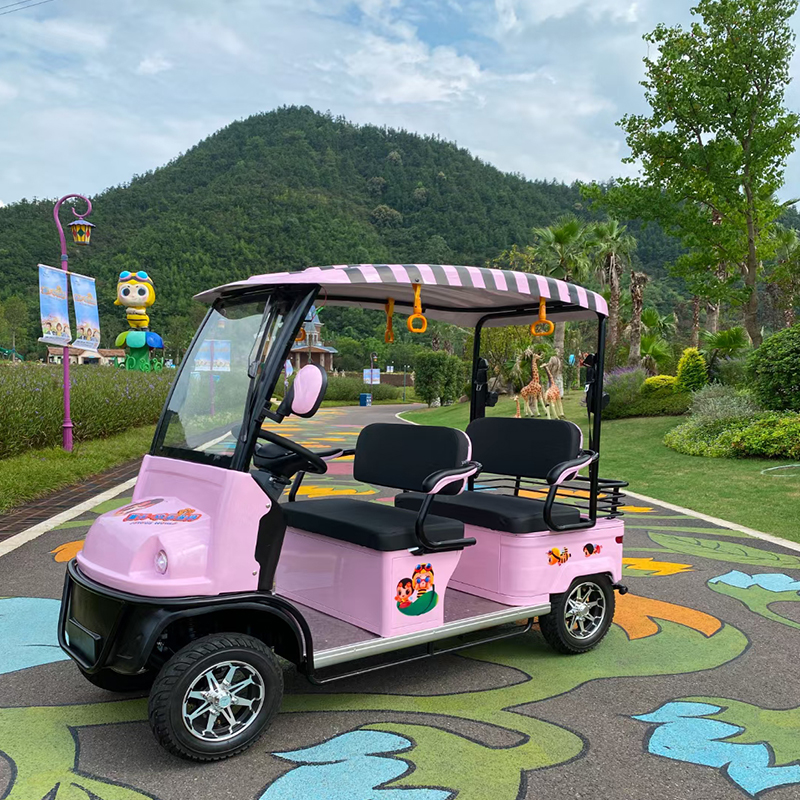 小巴六座带棚看房售楼处家用观光旅游景区巴士6座老年代步车