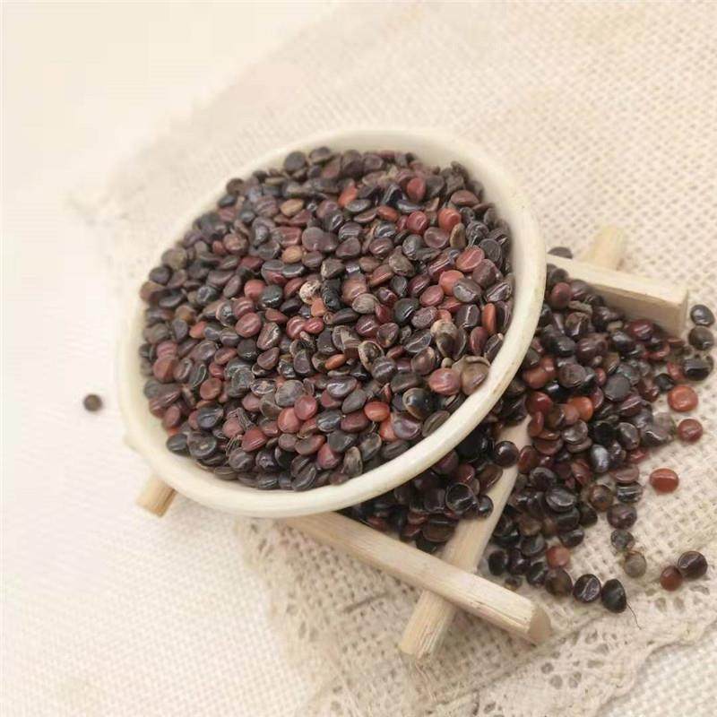 拐枣枳椇500克包邮新鲜正品枳苴茶枳具佛手