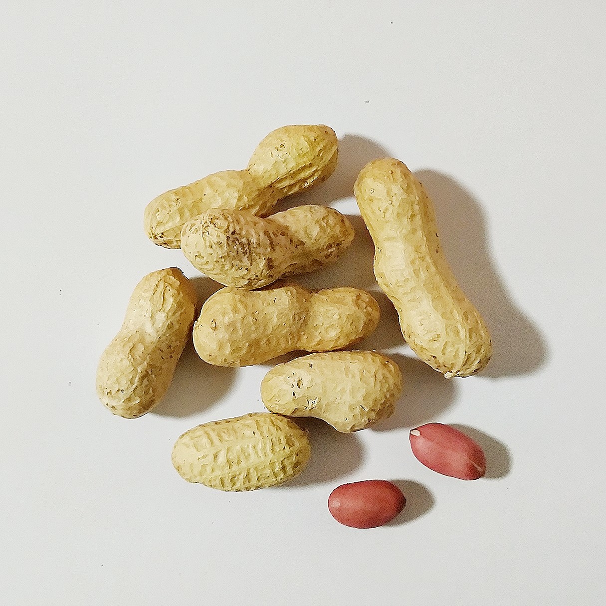 花生带壳生的红粒甜水水果农家种植七彩七彩花花生