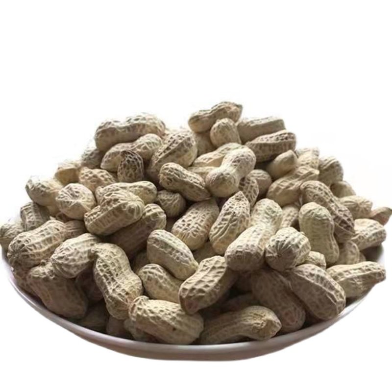 山东精选生的白沙带壳花生1500g农家种植粉皮新晒干子粒饱满包邮